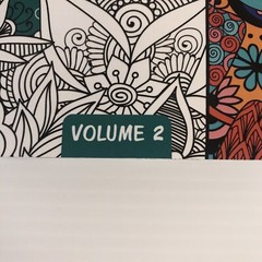 Coloring Book For Adults For Mindful People Stress Relieving Designs Volume 2 NW