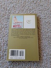 The Crying of Lot 49 by Thomas Pynchon : Vintage PB, Bantom Windstone Edit 1982