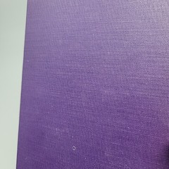 Scaramouche Rafael Sabatini 1921 Hardcover Embossed Cover Purple