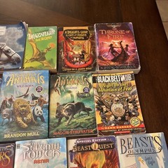Chapter Books Fantasy-Lot of 18-dragons, Warriors, Narnia, Choose Own Adventure