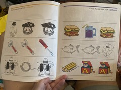 Same Or Different: Barbara Gregorich (1996, School Zone Publishing) Home School