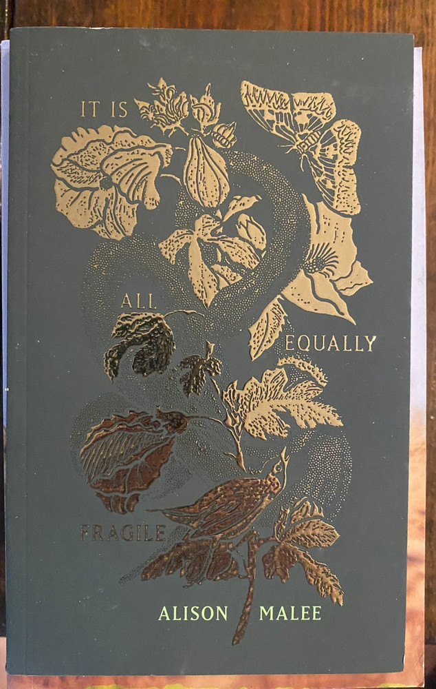 It Is All Equally Fragile by Alison Malee Paperback