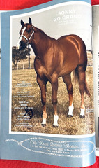 1979 Quarter Horse Journal, Book, STALLION EDITION! – KIDNAP BAR – ZAN PARR BAR