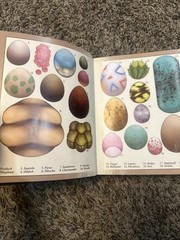 Pokenatomy Book Unofficial Pokemon Anatomy Guide Guidebook Hardcover Read