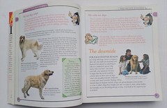 Used Book KISS Guide To Living With A Dog 2001 Paperback 415 Pages Very Good DK