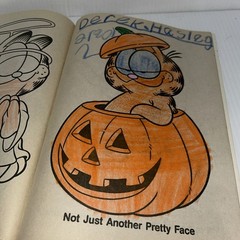 Garfield 1988 A Coloring Book Golden 31 Pages Vintage Used See Pics/80