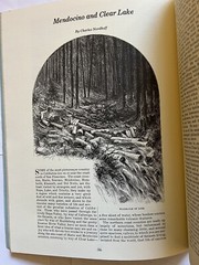 Northern California 100 Years Ago Skip Whitson 1976 Paperback