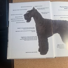 A Kennel Club Book Giant Schnauzer Comprehensive Guide To Owning And Caring For