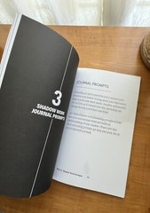 The Shadow Work Journal A Guide to Integrate & Transcend your Shadows Self Help
