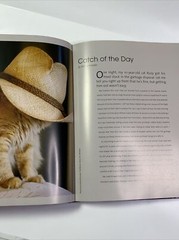 Cats 24/7 Extraordinary Photographs Of Wonderful Cats 2005 Hardcover 190 Pages