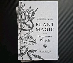 Plant Magic for the Beginner Witch : An Herbalistæs Guide to Heal, Protect an…