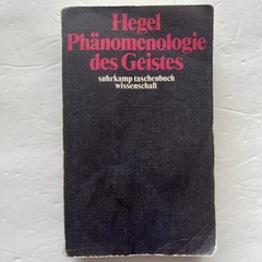 Hegel Phanomenologie des Geistes Suhrkamp Taschenbuch Wissenchaft GERMAN PB