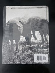 Branded Youth By Bruce Weber – NEW Mint Photo Book – Still In Shrink Wrap