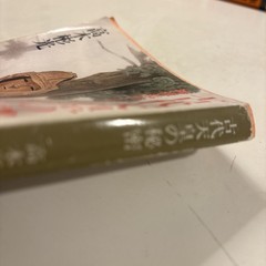 The Secrets of Ancient Emperors by Akimitsu Takagi Kadokawa Pocketbook (a 42