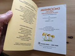 A Golden Guide: Mushrooms And Other Non-Flowering Plants Full-Color RARE EDITION