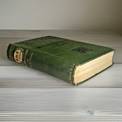 Atlas of Normal and Pathological Nervous Systems ~ 1896 ~ C. Jakob ~ Color Illus