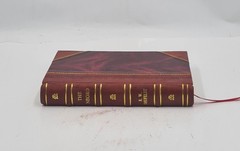 The Negro a menace to American civilization 1907 R. W. Shufeldt [LEATHER BOUND]