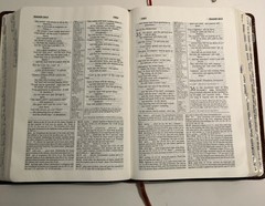 VTG NIV Study Bible Red Letter Zondervan 1985 Bonded Leather Meticulously Tabbed
