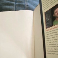 The $100 Startup by Chris Guillebeau Hardcover w/ Dust Jacket, Business Book