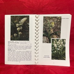 Wild Wildflowers of the West by Edith S. Kinucan and Penney R. Brons 1985 3rd Pr