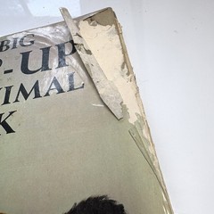 THE BIG JUMP UP FARM ANIMAL BOOK 1954 Huge Pop Ups Beautiful Illustrations
