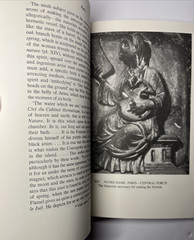 Fulcanelli: Master Alchemist: Le Mystere des Cathedrales, Esoteric Intrepretatio