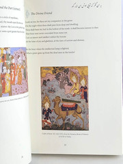 RUMI ILLUSTRATED by Jalal Al-Din Rumi (Chinese Bound Hardcover) *Brand New*