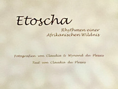 Claudia & Wynand du Plessis @ Etoscha @ Rythmen einer Afrikanischen Wildnis 2003