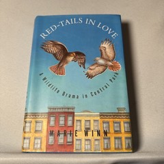 Red-Tails in Love : PALE MALE’s STORY–A True Wildlife Drama in Central Park