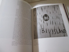 Joseph Beuys: Actions, Vitrines, Environments by Mark Rosenthal Hardcover