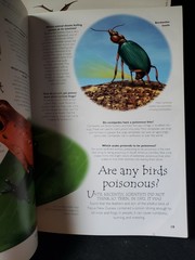 Books Are Fun Lot of 5 Animal & Dinosaur Question Answer Books Kids Educational