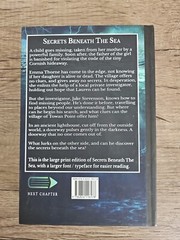 Secrets Beneath the Sea by Phil Price