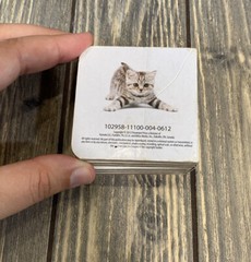 Flower Pot Press Pets Mini Book 2.75 X 2.75 Toddler Baby Kids