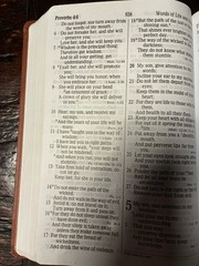 Brown Leathersoft NKJV Giant Print 16 Point