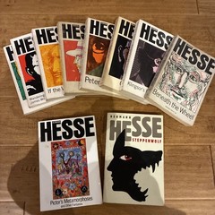 Vintage Hermann Hesse Paperback Book Lot (10 Volumes) – Noonday Press Editions