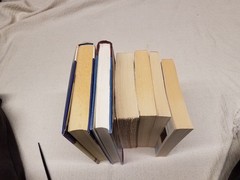 Lot of 6 Adriana Trigiani Books featuring Valentine plus others