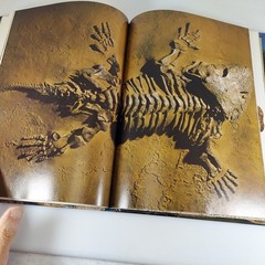 Prehistoric Monsters by Alfred Leutscher 1979 Octopus Books Illustrated HC