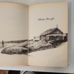 Julie of the Wolves by Jean Craighead George Hardcover Harper Trophy 1972 Illus