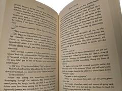 Real Virtue Katy Lee Trade Paperbook Book Web of Lies #1 USED Christian Fiction