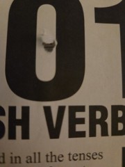 201/301 Verbs Series: 301 Polish Verbs Klara Janecki Barron’s Educational Series