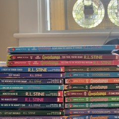 Mixed Goosebumps R.L. Stine Book Lot 33