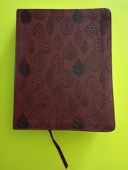 ESV Single Column Journaling Bible (TruTone, Chestnut, Leaves Design) Crossway