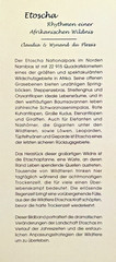 Claudia & Wynand du Plessis @ Etoscha @ Rythmen einer Afrikanischen Wildnis 2003