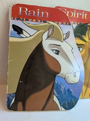 Spirit and Rain a giant shaped Board Book Kathleen Duey stallion of the cimarron