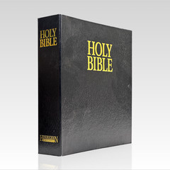 2011 The Holy Bible. KJV. Wide Margin Looseleaf Reference Edition. VG