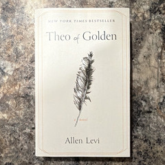 Theo of Golden by Allen Levi Paperback Novel Atria Books English Generosity
