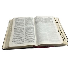 KJV Holy Bible Giant Print Version (Burgundy Leather, 1998) AMG Publishers