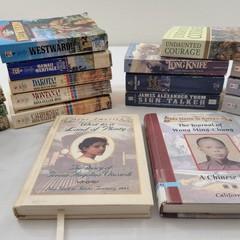 LOT OF 19 BOOKS RARE Dana Fuller Ross Terry C Johnston James Thom 17 PB 2 HB VTG