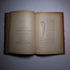 N25.4 Misery Size Humanity Primitive 1889 Illustrated Anthropology Mrs. Meunier