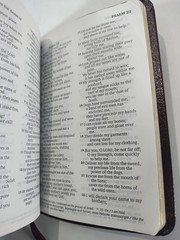 NIV New Testament Psalms Proverbs Bonded Leather Burgundy English Pocket Bible